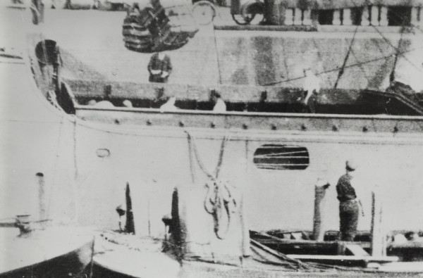 BW192-3-2-2-13-1-500 image BW192-3-2-2-13-1-500