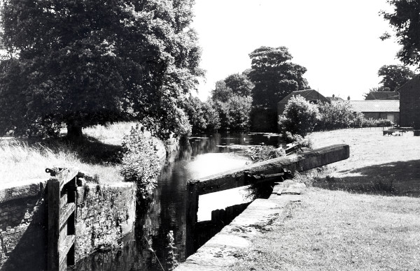 R0500 image R0500