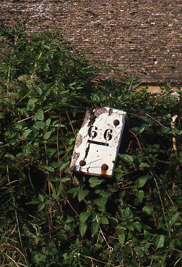 crt_wild_209 image crt_wild_209