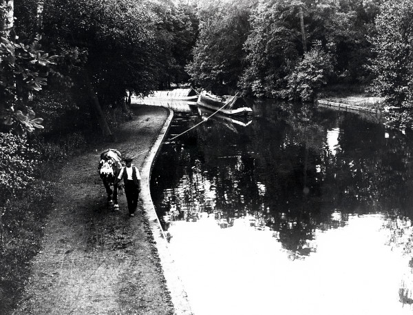 R0700 image R0700