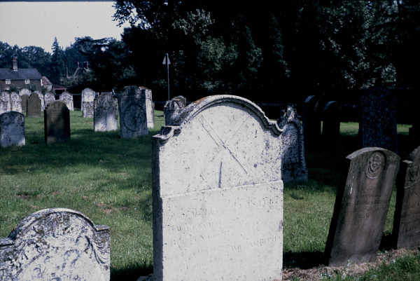 BW197-2-31-1-10 image BW197-2-31-1-10