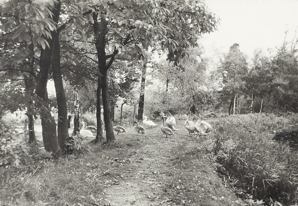 BW200-1-7-22-10 image BW200-1-7-22-10