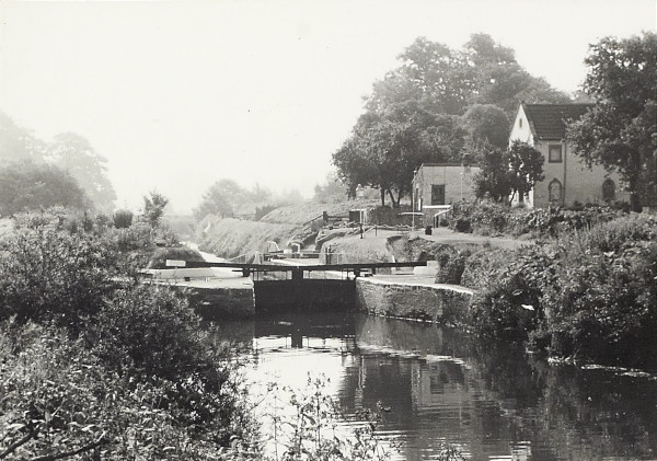 BW200-1-5-6-10 image BW200-1-5-6-10