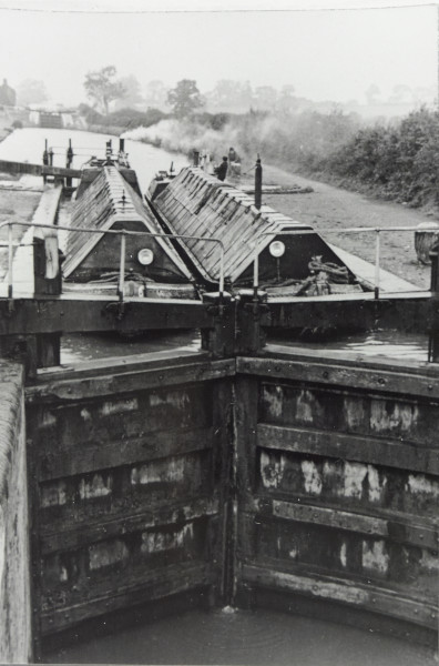 BW192-3-1-7-10 image BW192-3-1-7-10