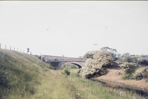 BW197-2-15-7-10 image BW197-2-15-7-10