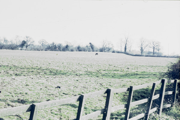 BW197-2-27-9-10 image BW197-2-27-9-10