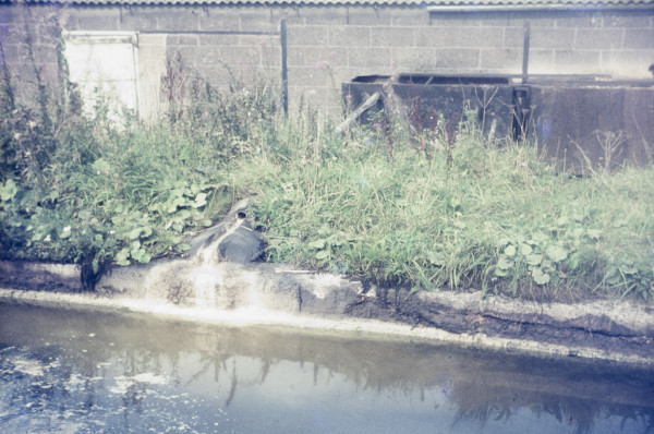 BW197-2-29-10 image BW197-2-29-10