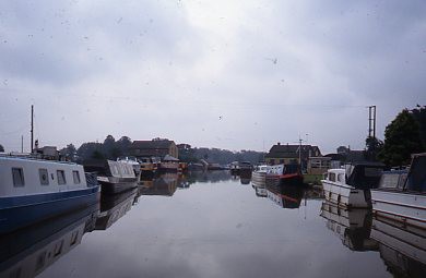 crt_wild_100 image crt_wild_100