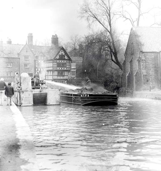 R0310 image R0310