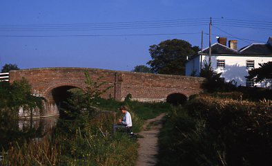 crt_wild_219 image crt_wild_219