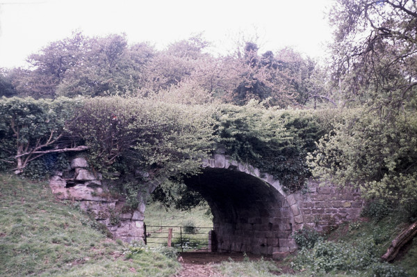 BW197-2-32-1-20 image BW197-2-32-1-20