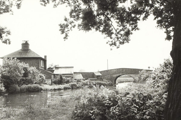 BW200-1-55-20 image BW200-1-55-20