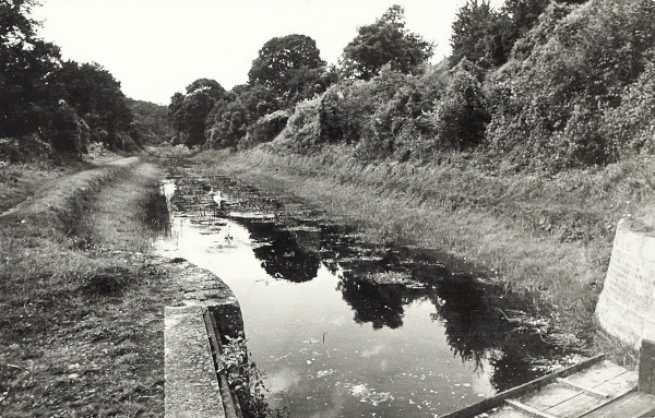 BW200-1-47-20 image BW200-1-47-20