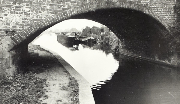 BW200-1-99-20 image BW200-1-99-20