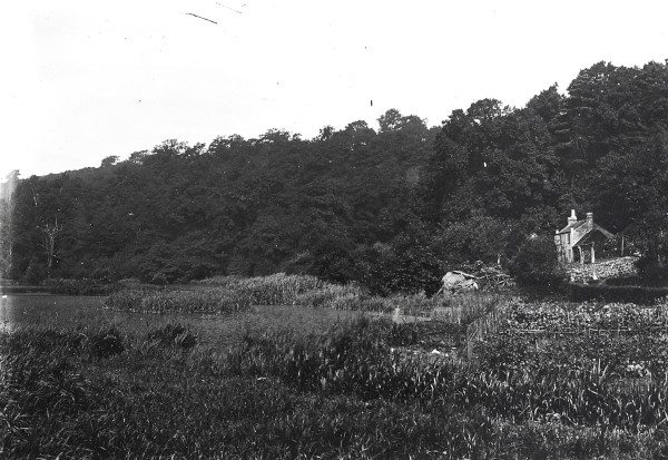 R0220 image R0220