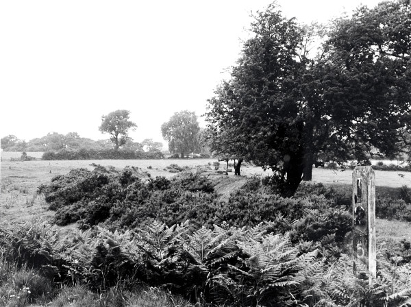 R0420 image R0420