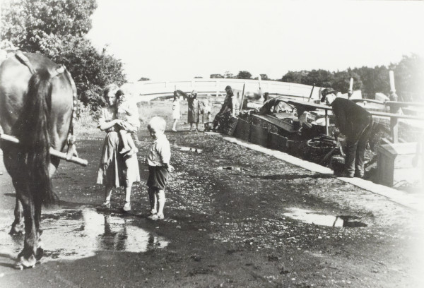 BW192-3-1-2-3-30 image BW192-3-1-2-3-30