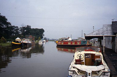 crt_wild_10 image crt_wild_10