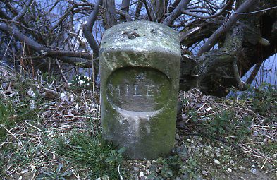 crt_wild_185 image crt_wild_185