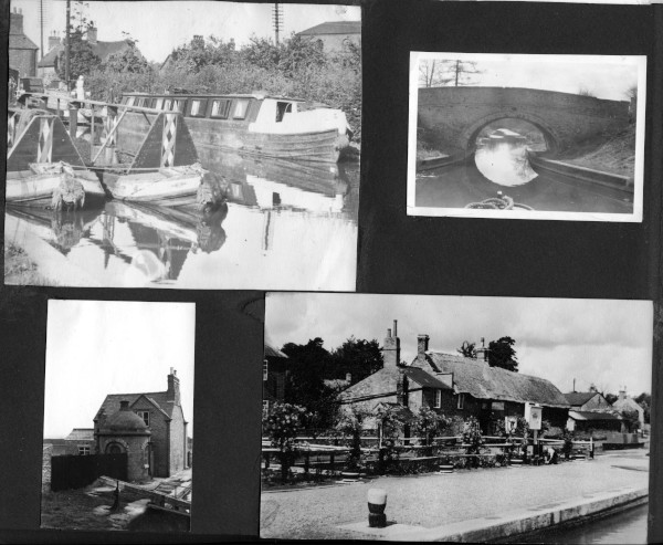 p26 image p26