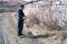 antnyaplyrd_1985 image antnyaplyrd_1985