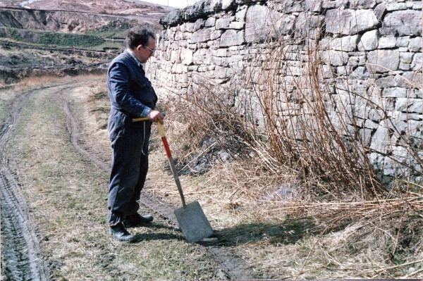 antnyaplyrd_1985 image antnyaplyrd_1985