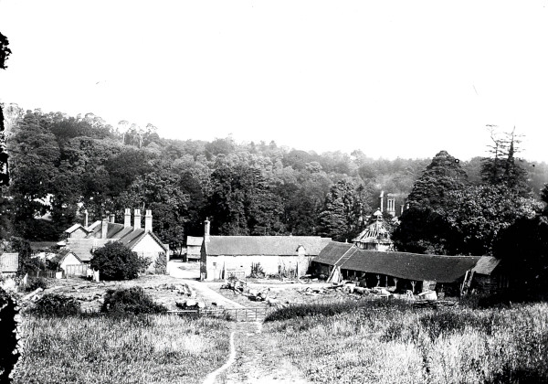 R0940 image R0940