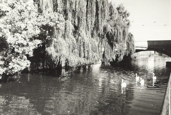 BW200-1-47-50 image BW200-1-47-50
