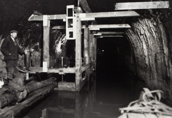 BW192-3-2-2-12-1-350 image BW192-3-2-2-12-1-350