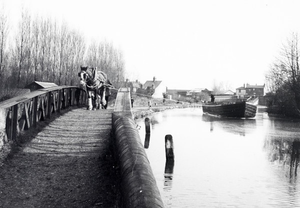 R0650 image R0650