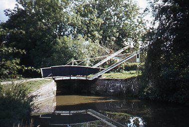 crt_wild_132 image crt_wild_132