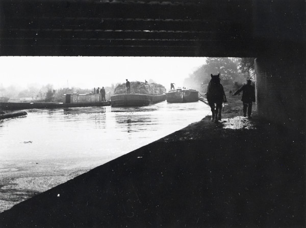 R0660 image R0660