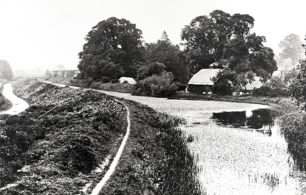 R0170 image R0170