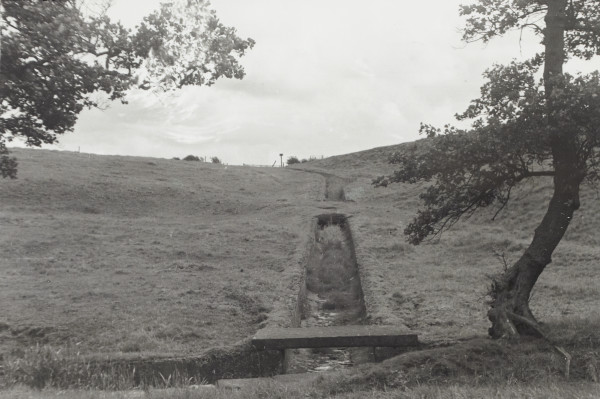 BW192-3-2-1-12-1-80 image BW192-3-2-1-12-1-80