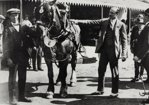 BW192-3-2-2-28-80 image BW192-3-2-2-28-80