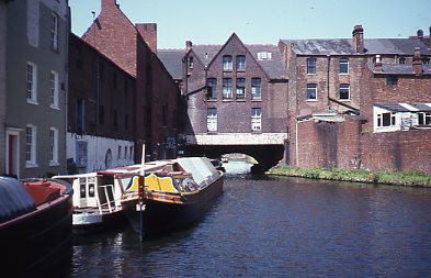 crt_wild_157 image crt_wild_157