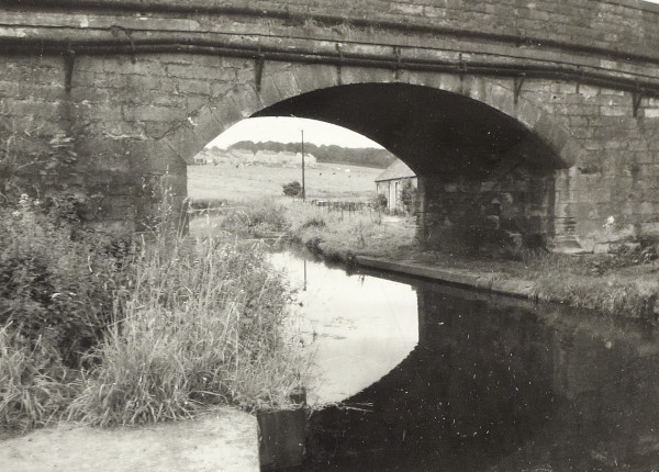 BW200-1-100-1 image BW200-1-100-1