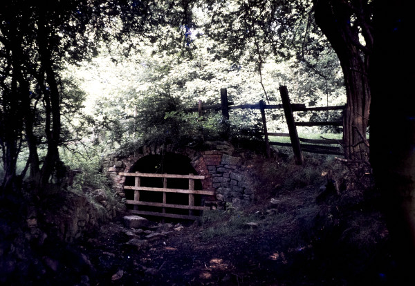 BW197-2-12-10-1 image BW197-2-12-10-1