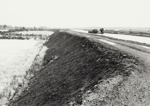 BW192-3-1-34-10-1 image BW192-3-1-34-10-1