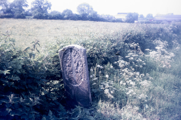 BW197-2-15-10-1 image BW197-2-15-10-1