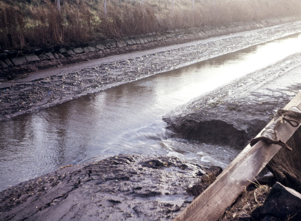 BW197-2-28-10-1 image BW197-2-28-10-1