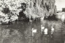 BW200-1-47-50-1 image BW200-1-47-50-1