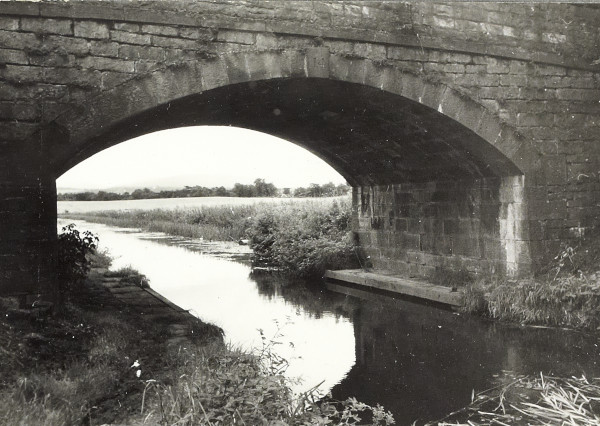 BW200-1-100-1-1 image BW200-1-100-1-1