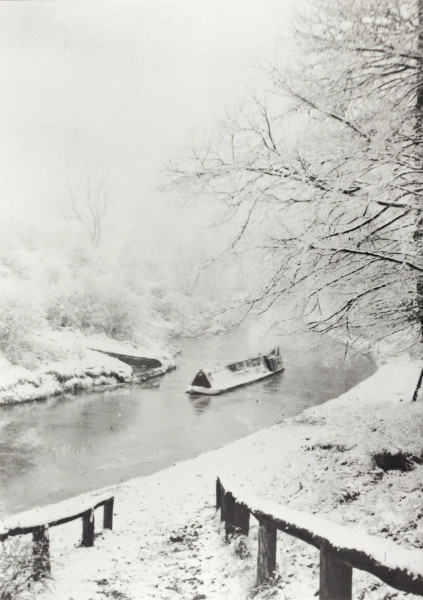 BW192-3-1-1-1-1 image BW192-3-1-1-1-1