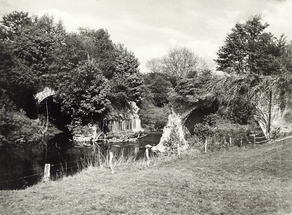 BW200-1-51-1-1 image BW200-1-51-1-1