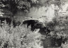 image BW200-1-83-2-1-1