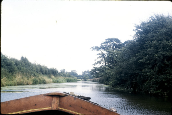 BW197-2-12-1-1 image BW197-2-12-1-1