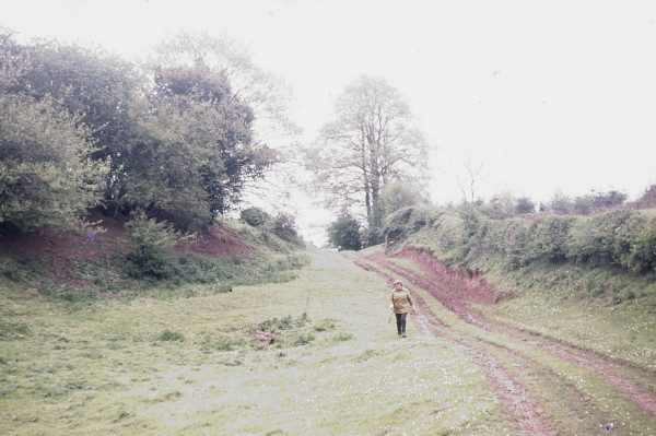 BW197-2-32-1-1 image BW197-2-32-1-1