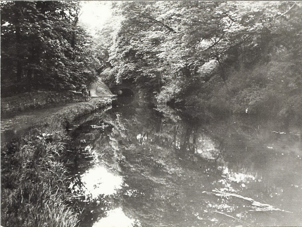 BW200-1-73-1-1 image BW200-1-73-1-1