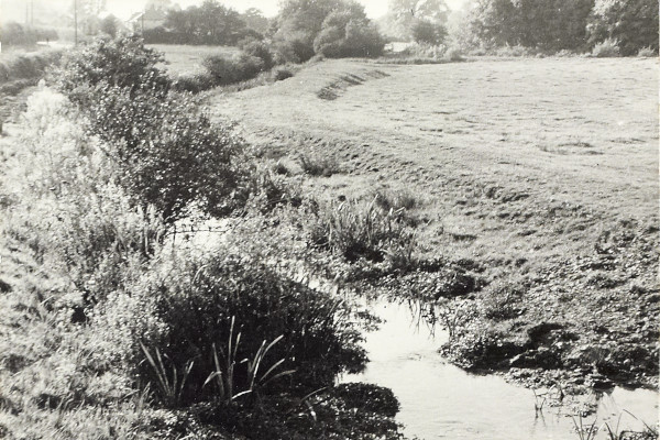 BW200-1-84-1-1 image BW200-1-84-1-1